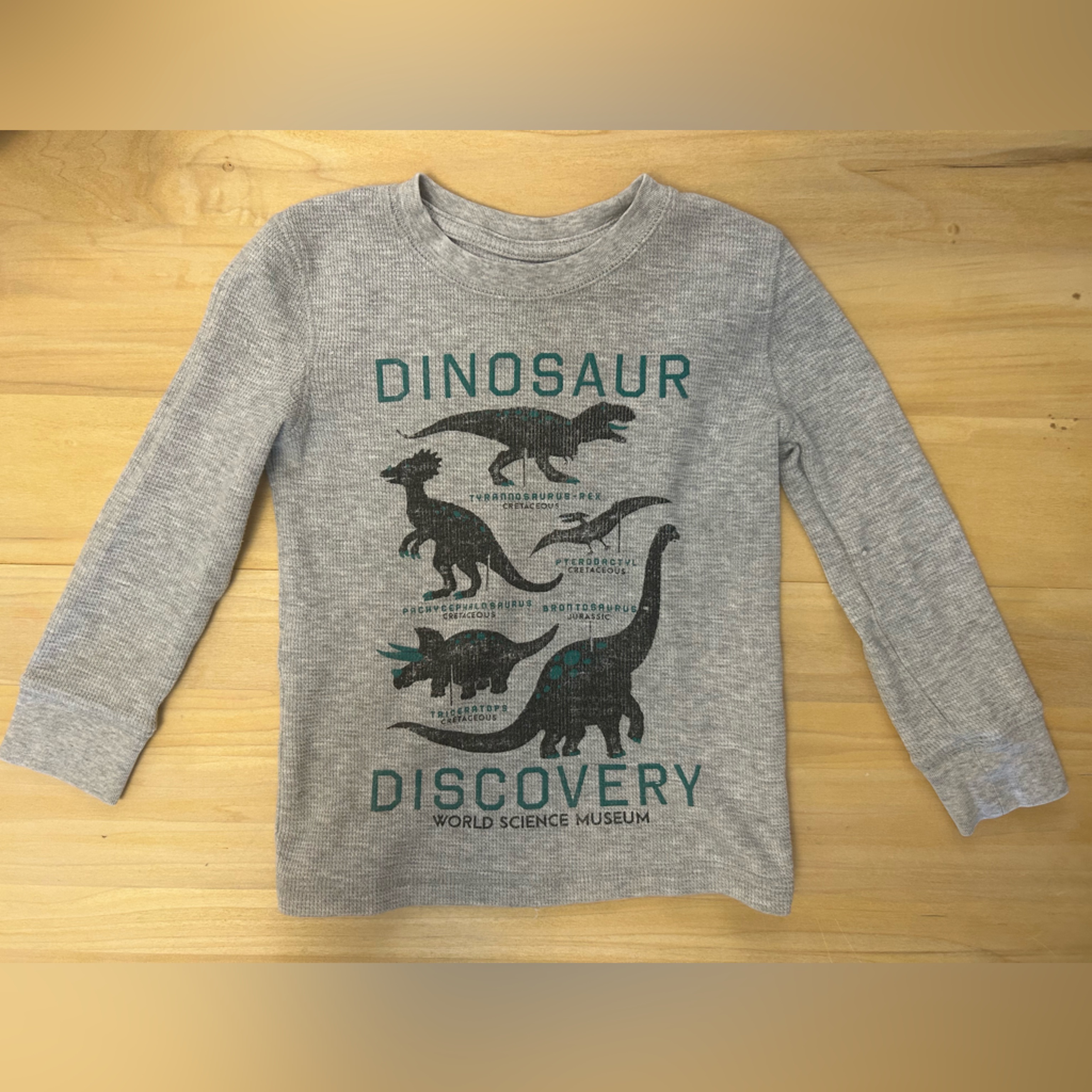 Dinosaur Discovery Jumping Beans 4t Kids Gray Long Sleeve Shirt